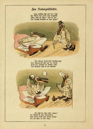 Zur Naturgeschichte