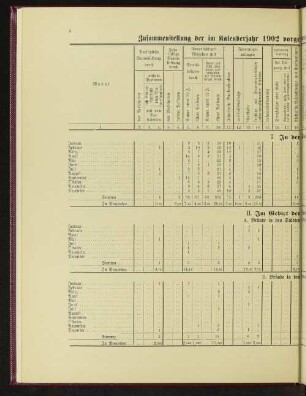 Zusammenstellung der im Kalenderjahr 1902 vorgekommenen Brände mit Angabe ihrer Entstehungsursachen.
