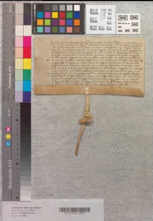 Lehnrevers Remekes von Wendt (de Wend), Sohn von Floriken, über die vom Abt Hermann von Corvey empfangenen Lehngüter bei Lemgo [Vogelsang und Vogelhorst], Barkhausen und Ubbedissen.
