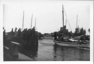 Urlaubsreise. In einem Fischerhafen an der Ostsee