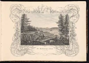 Der Grubenbacher=Damm bei Neumarkt. - Neumarkt in der Oberpfalz, Ludwigskanal, Grubenbacher Damm