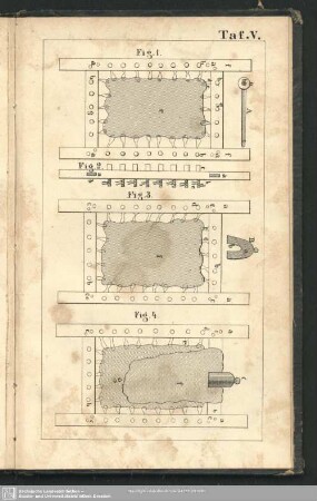 Taf. V. Fig. 1 - Fig. 4