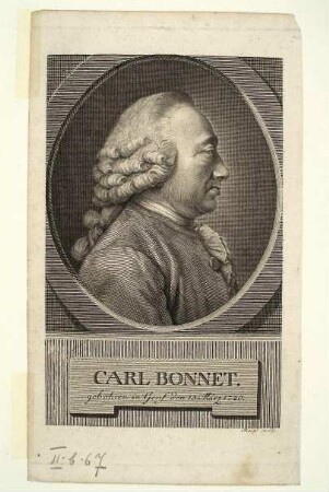 Charles Bonnet (Naturforscher)