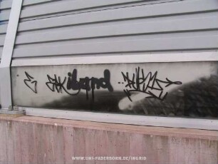 "PulS1"