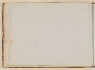 Pflanzenstudie [aus einem Skizzenbuch der Rosette Städel, Blatt 26v]