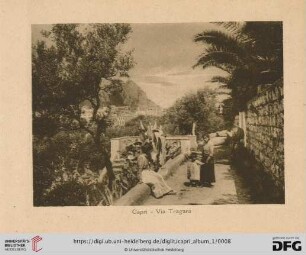 Capri - Via Tragara