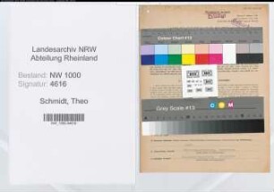 Entnazifizierung Theo Schmidt, geb. 18.11.1906 (Ingenieur)