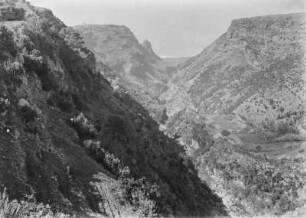 Garachico : Im Barranco del Garachico, einem ausgetrocknetem Flusslauf