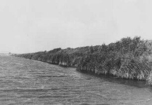 Uferschutz am Mittellandkanal