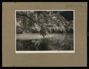 30, Blaubeuren. Blautopf. (Nr. 3319).