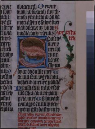 fol. 57r, Initiale mit Text