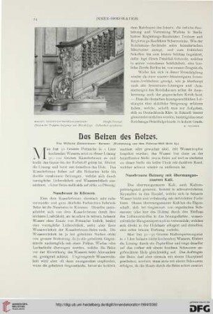 Das Beizen des Holzes, [3]