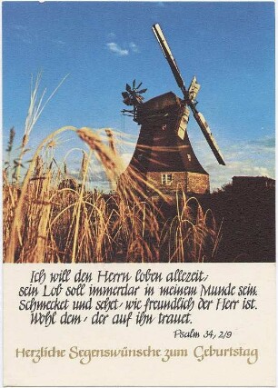 Kühlungsborn. Brunshöver Möhl, Ansichtskarte