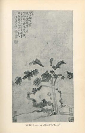 Tau-Tsi(17. cent.): copy of Wang Wei's "Banana"