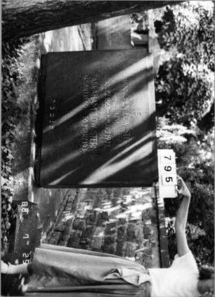 Grabstein 795