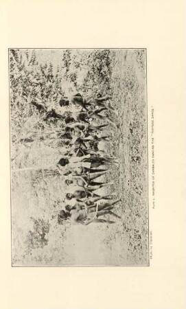 Plate L. Negritos of Zambales dancing the "Torture dance"