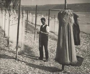 Bodenseefischer untersucht am Ufer des Bodensees die feinen Garnnetze für den Fang der Blaufelchen