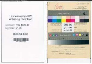 Entnazifizierung Else Dieding , geb. 23.03.1903 (Geschaeftsfuehrerin)