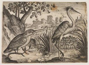 Eisvogel und Blaureiher