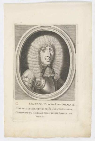 Bildnis des Jean de Coligny