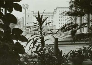 Allee, Berlin
