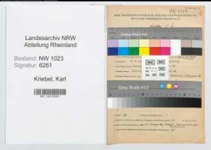Entnazifizierung Karl Kriebel , geb. 17.04.1909 (Verw.Inspektor)