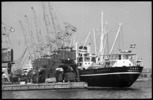 Oslo: M.S. Tana, am Kai mit Kranen