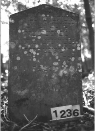 Grabstein 1236 (Index: 99900029) Material: Sandstein Zustand: angewittert Maße HxBxT: 95x56x5 cm Beschreibung: Stele mit Dreiecksabschluss: Grabstein 1236