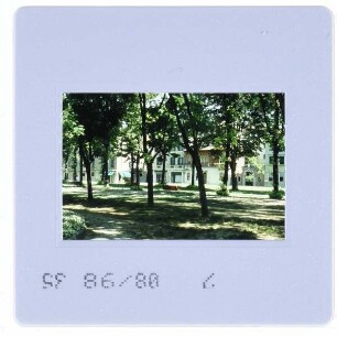 Venedig, Sant'Elena (Insel) : Viale IV. Novembre, Nähe Calle Franco Passarella