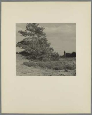 Landschaft mit Laubbäumen