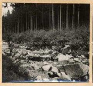 Schreiberhau