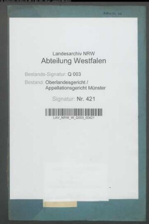 Fürst Alfred Salm-Salm ./. Graf von Salm-Hogstraeten wegen Erbstreitigkeiten XXXIX