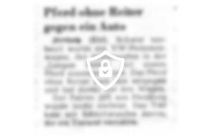 Pferd [Name maskiert] gegen ein Auto