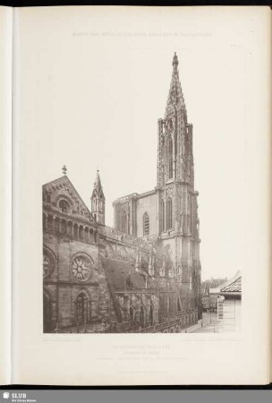 Strassburg im Elsass, Münster St. Maria