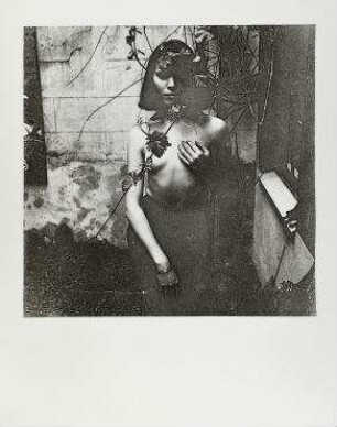 Ohne Titel (Amanda Tap - heute Lear)