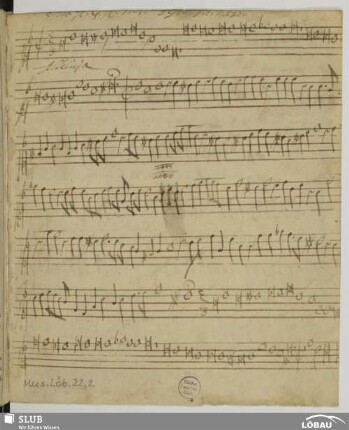 3 Motets - Mus.Löb.22,2 : V (X)