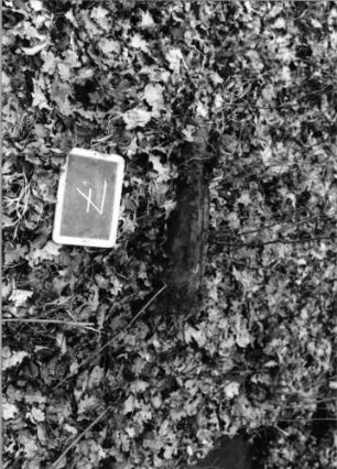 Grabstein 7 (Index: 100090597) Material: Sandstein Maße HxBxT: 0x0x0 cm Beschreibung: Fragment: Grabstein 7