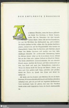 Der Entlarvte Zauberer