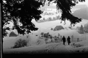 Rudenberg: Weg am Wald nach Rudenberg