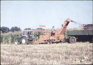 Feldhäcksler E 066 eingesetzt zur Silomaisernte