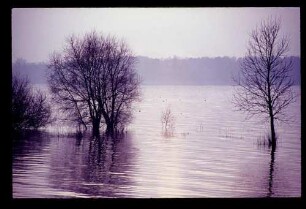 Havel 26.2.67.
