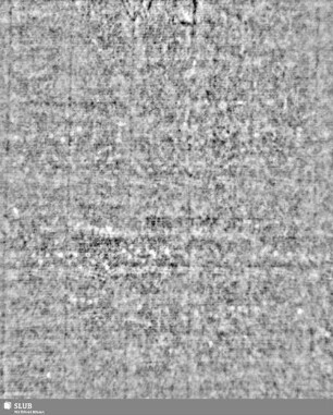 Lilienschild + Buchstaben IESV / Buchstaben LW = S.1/2