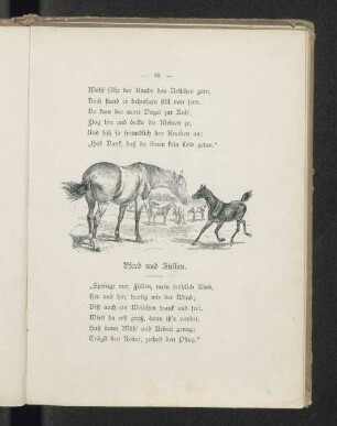 Pferd und Füllen.