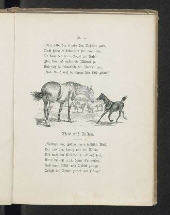 Pferd und Füllen.