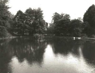 Schöneck/Vogtland-Gunzen. Dorfteich