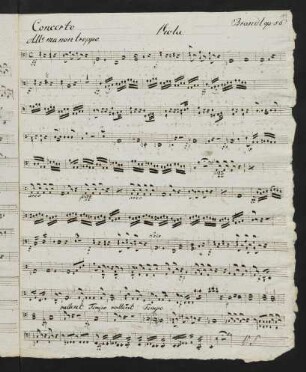 19-22 Viola