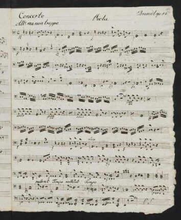 19-22 Viola