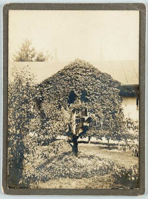 Wohnhaus : Klausenburg (Cluj-Napoca / Rumänien). Wohnhaus. Gartenansicht (Teilansicht)