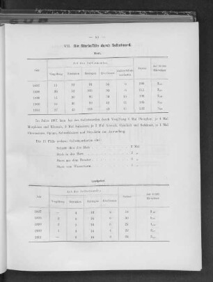 VII. Die Sterbefälle durch Selbstmord.