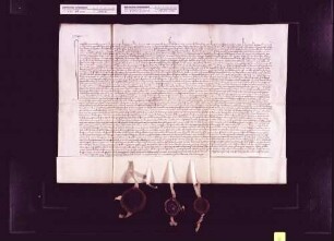 Der Hofrichter zu Rottweil beurkundet, daß vor ihm Graf Friedrich von Zollern genannt Graf Mülly und seine Gemahlin Verena von Kyburg zu Gunsten Graf Eberhards III. auf Burg und Herrschaft Schalksburg und Balingen verzichtet haben.